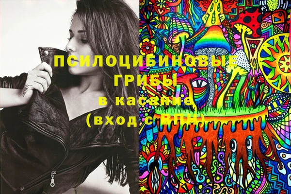 бутират Каменногорск