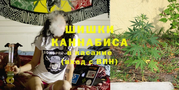 Альфа ПВП Каменка
