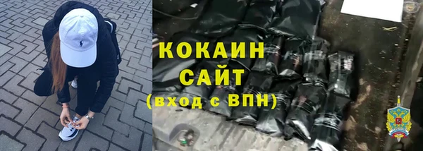 Альфа ПВП Каменка