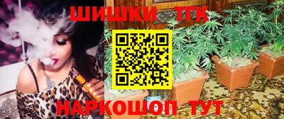 дмт Новокубанск
