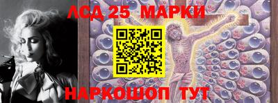 дмт Новокубанск