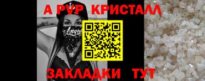 спиды Новозыбков