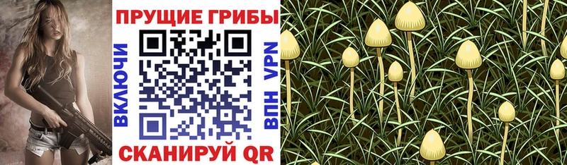 Псилоцибиновые грибы мухоморы  mega вход  Ярцево  как найти наркотики 