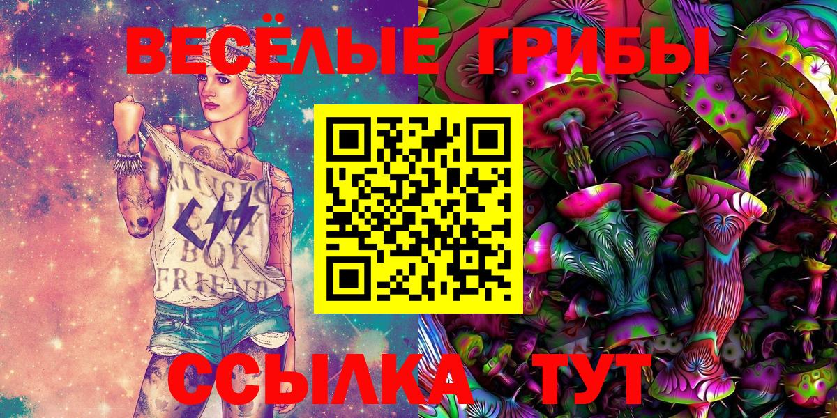 Псилоцибиновые грибы GOLDEN TEACHER Ярцево